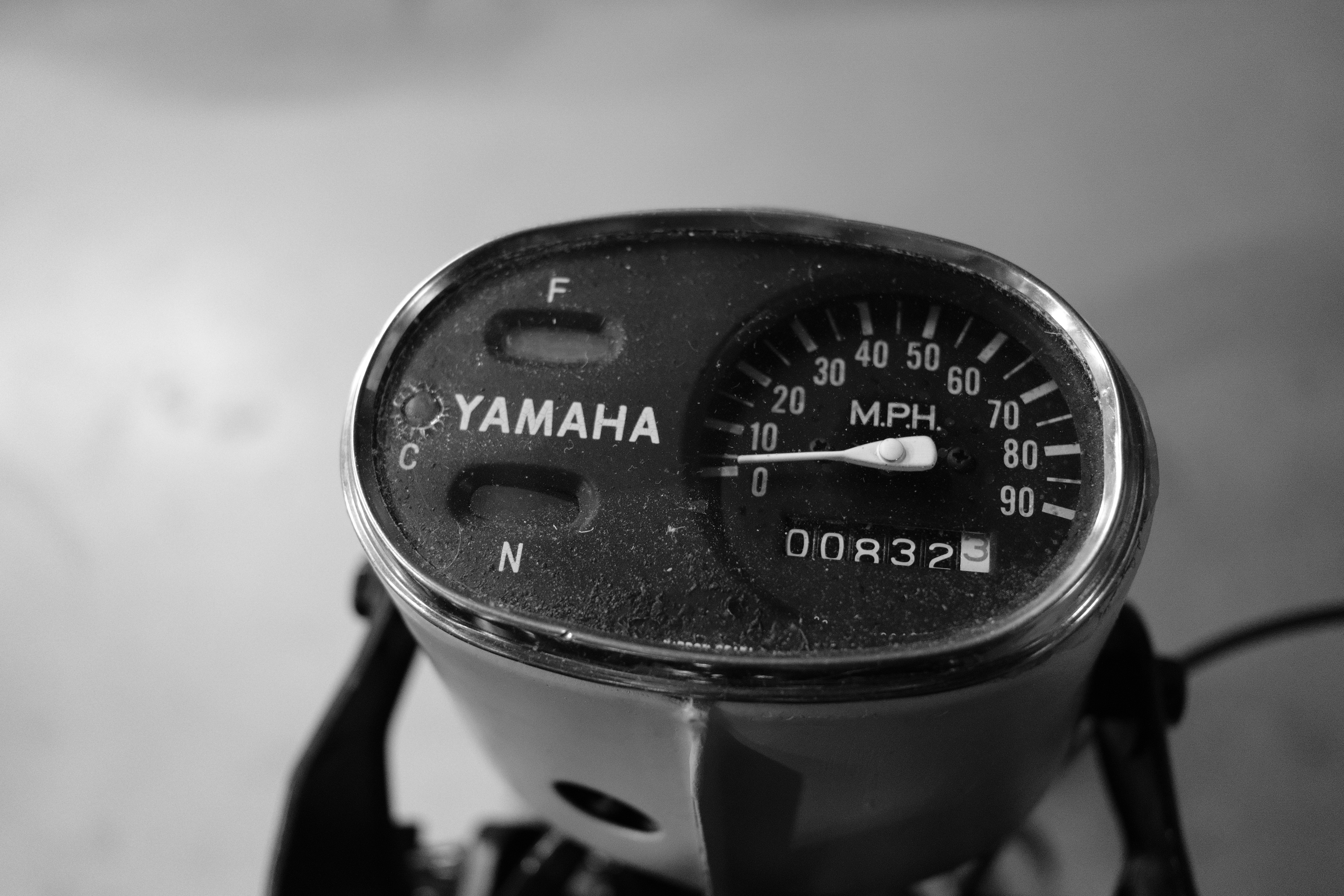 DSCF0385.JPG